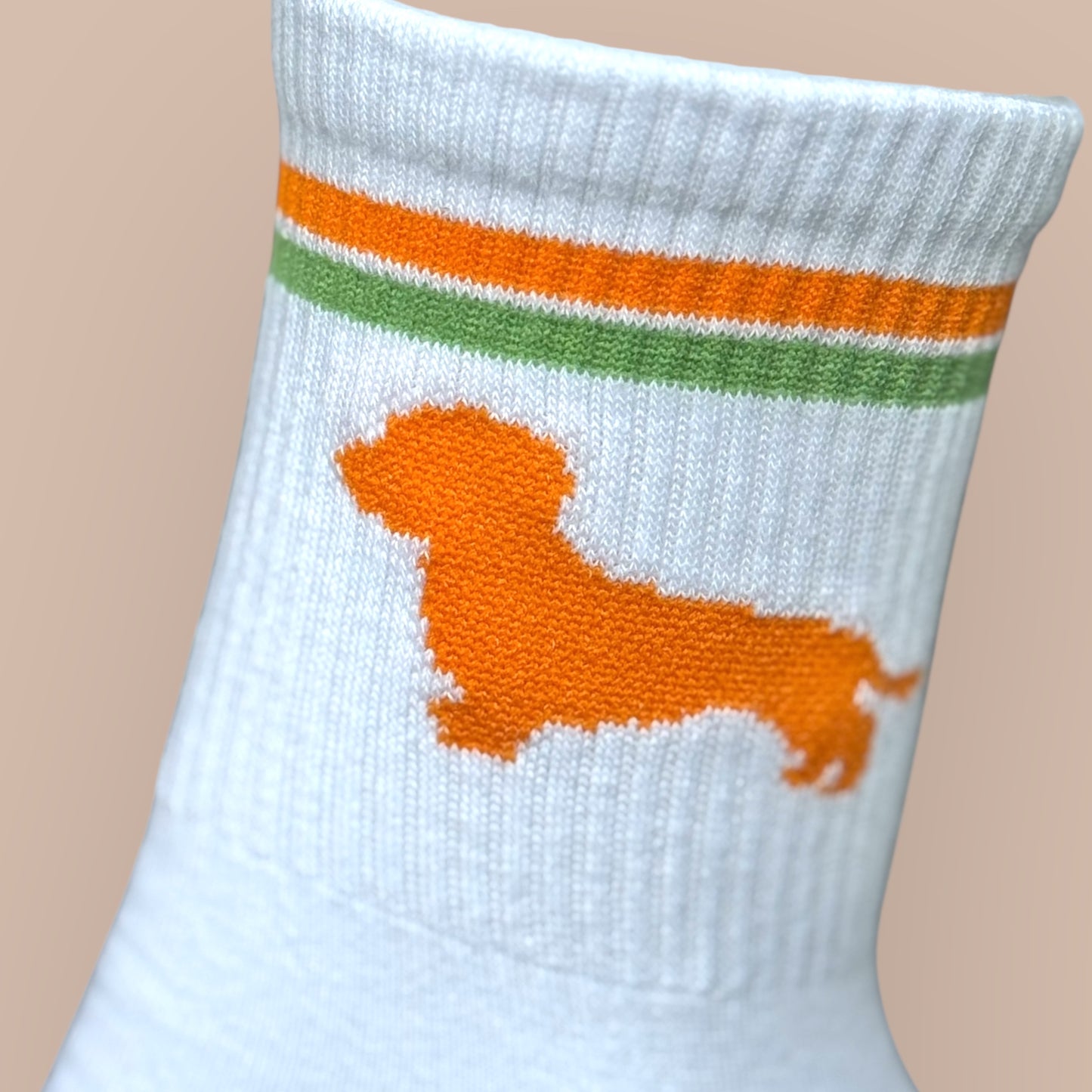 Socken mit Dackel in Trendfarben