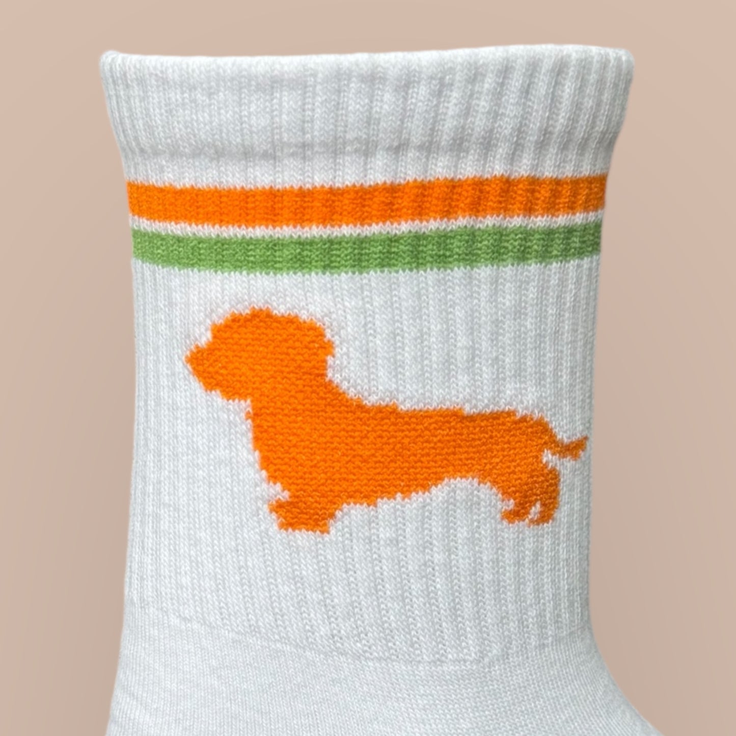 Socken mit Dackel in Trendfarben
