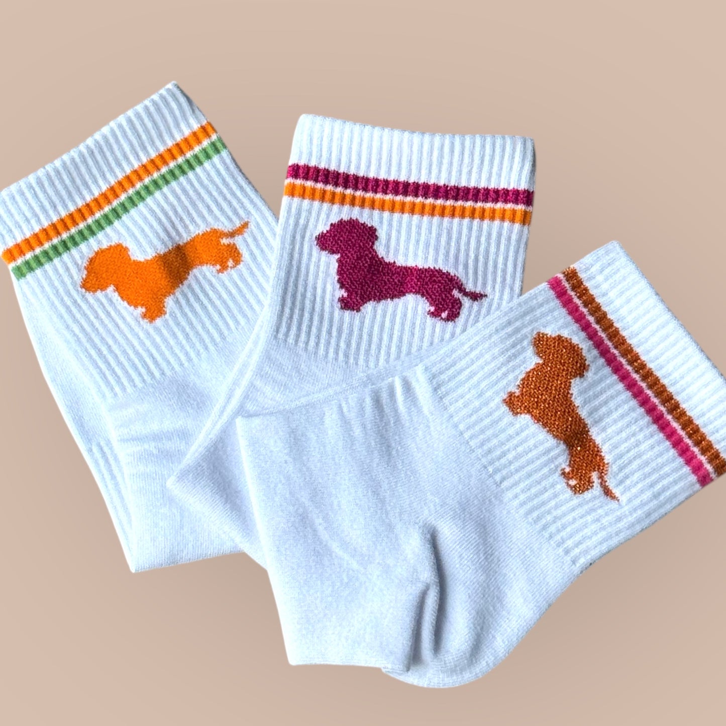 Socken mit Dackel in Trendfarben