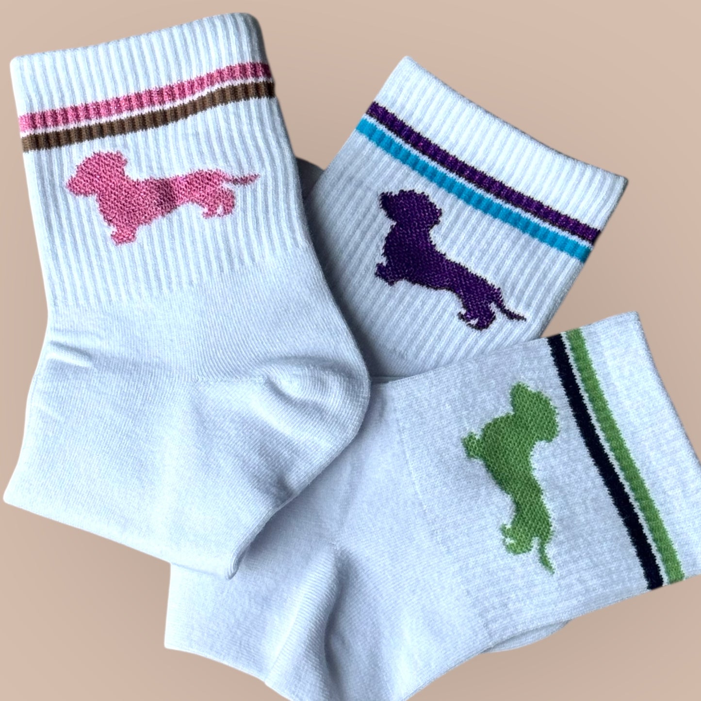 Socken mit Dackel in Trendfarben