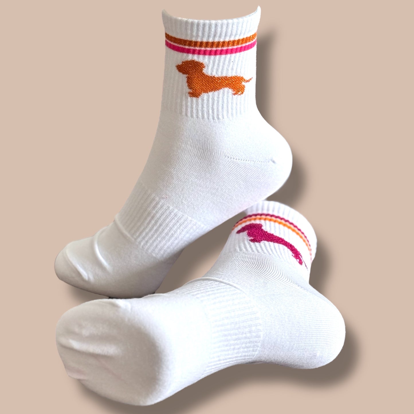 Socken mit Dackel in Trendfarben