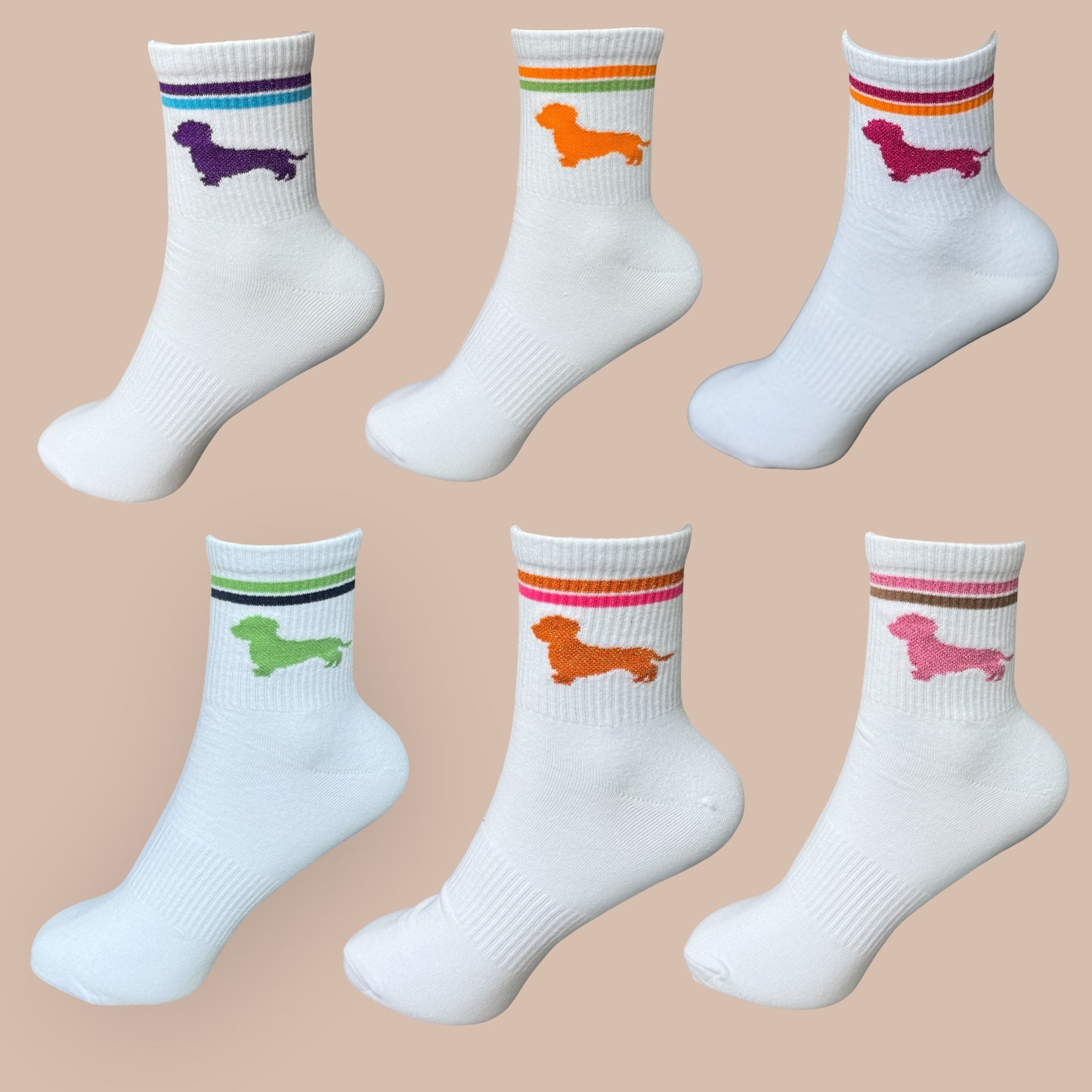 Socken mit Dackel in Trendfarben