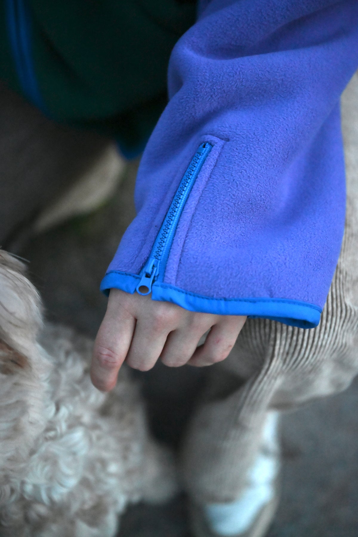 Colorblock Fleecejacke mit Dackel-Pin