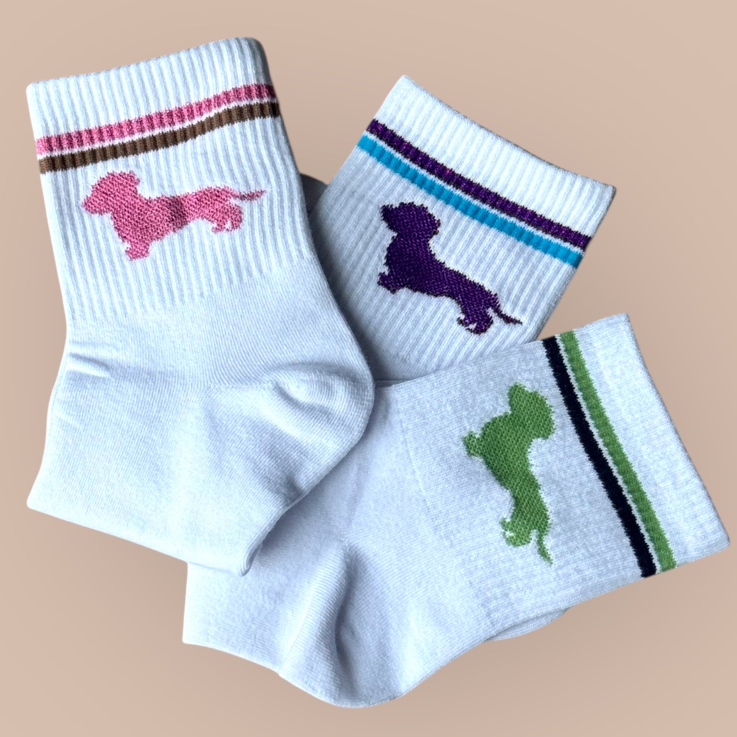Socken mit Dackel in Trendfarben