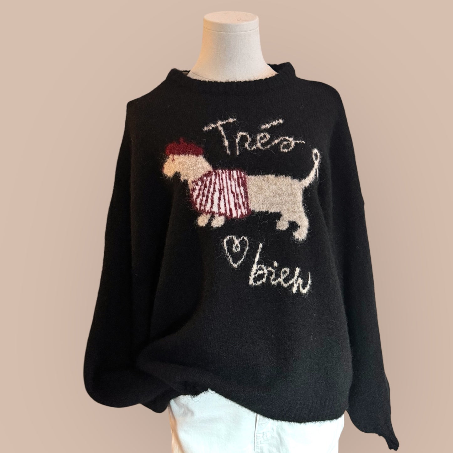 Dackel Pullover Kuschelweich