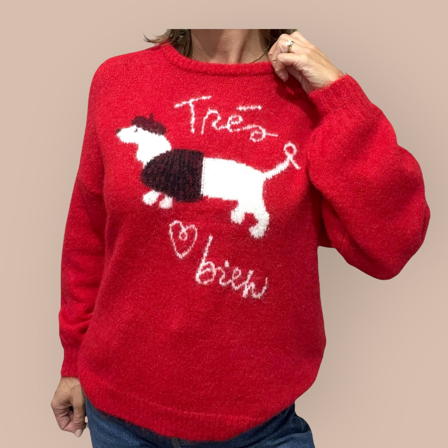 Dackel Pullover Kuschelweich