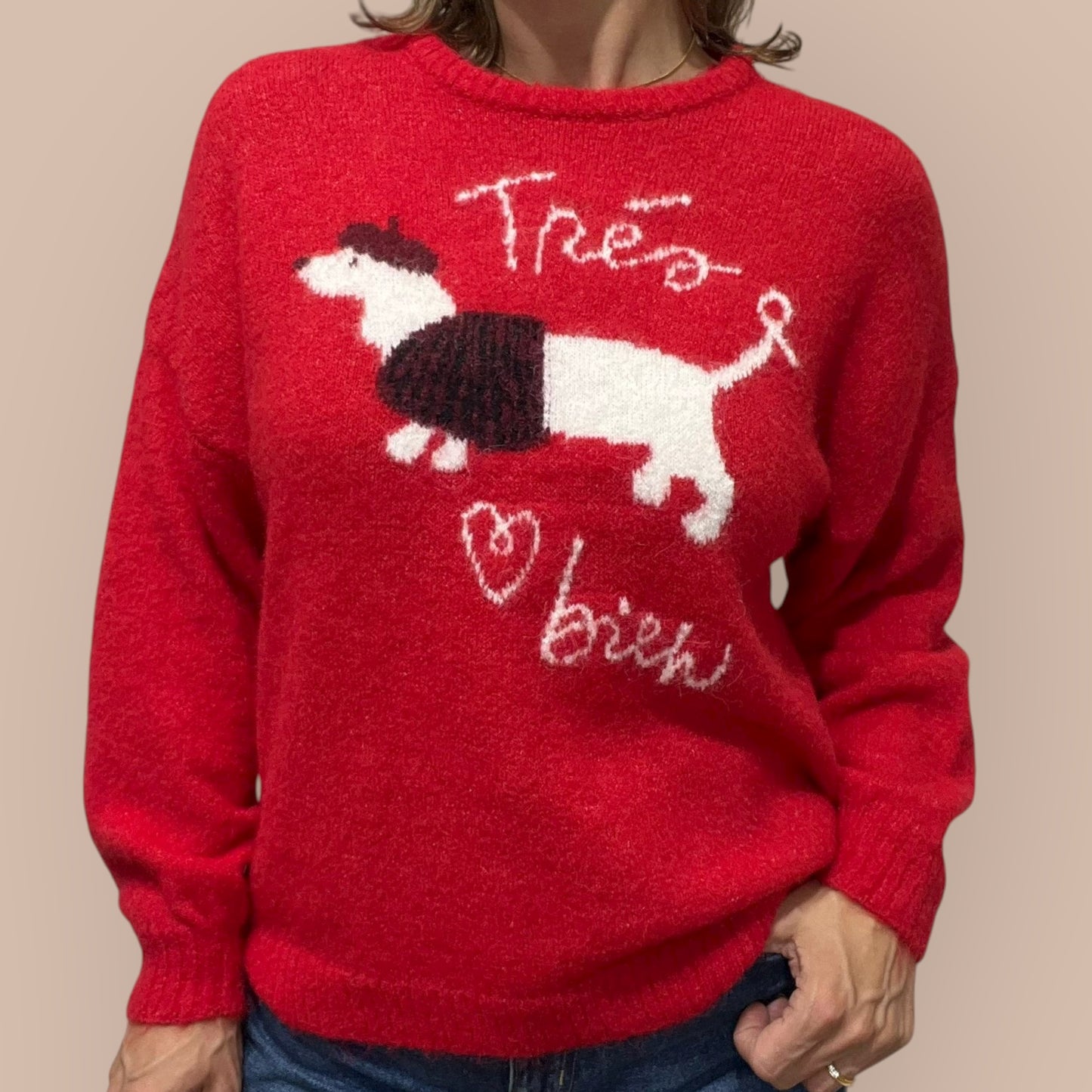 Dackel Pullover Kuschelweich