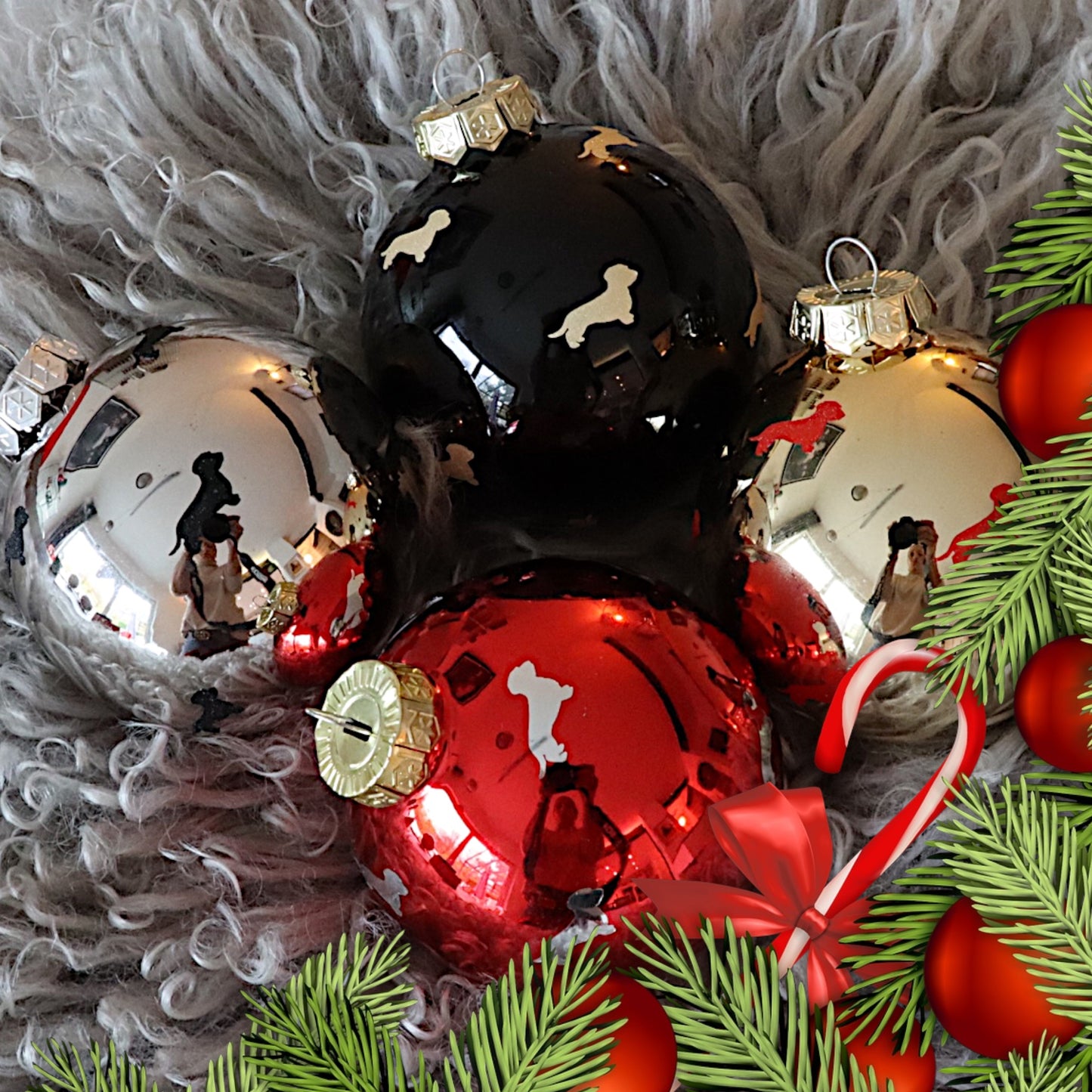 Weihnachts-Kugel mit Dackel in Wunschfarbe