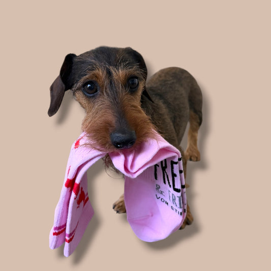 Socken Allover Dackel