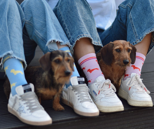 Socken Allover Dackel