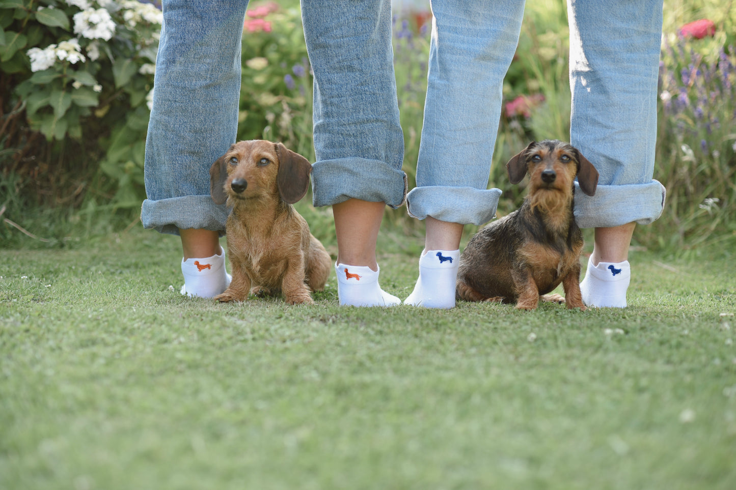 Sneaker Socken mit Dackel