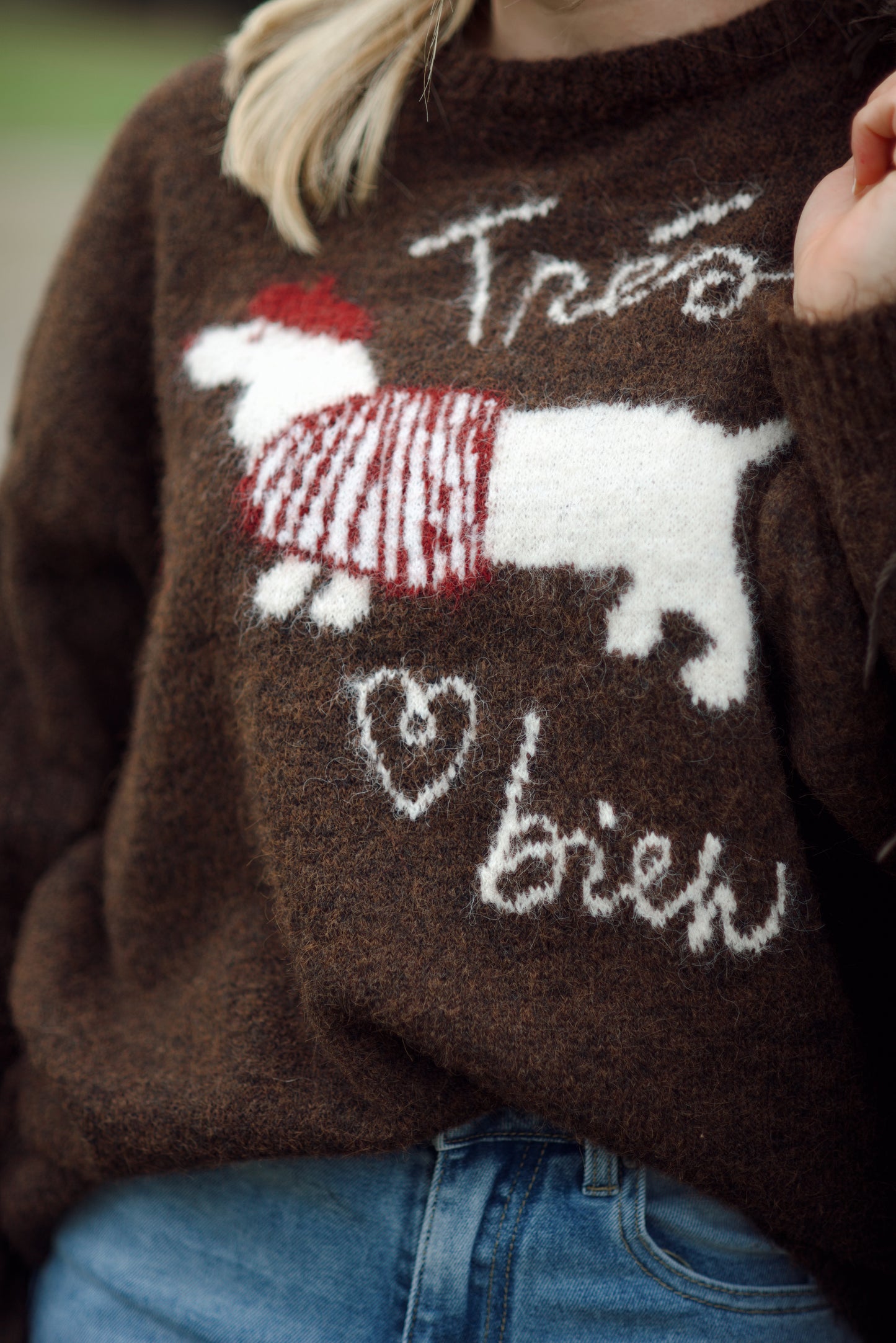 Dackel Pullover Kuschelweich