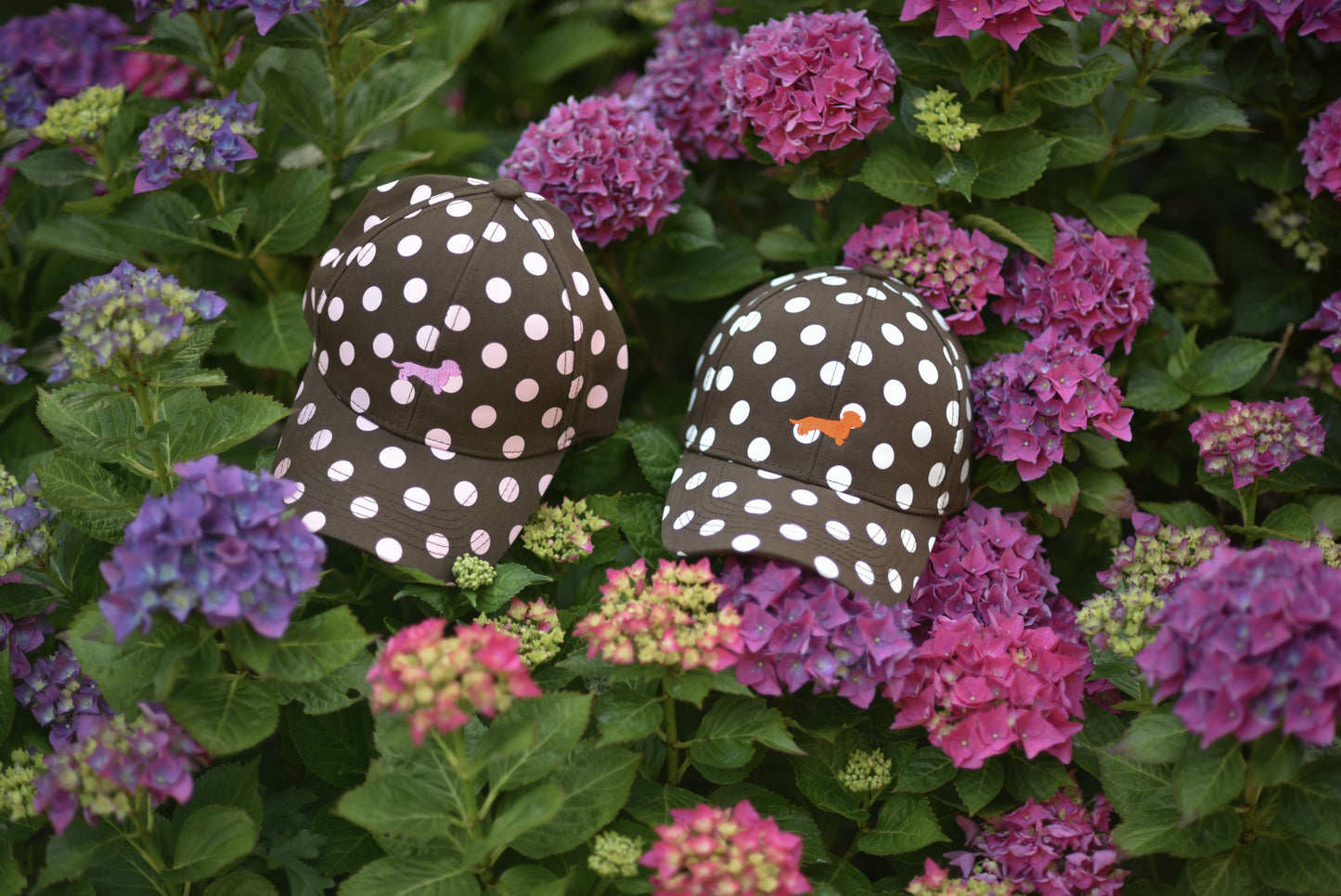Dots Dackel Cap