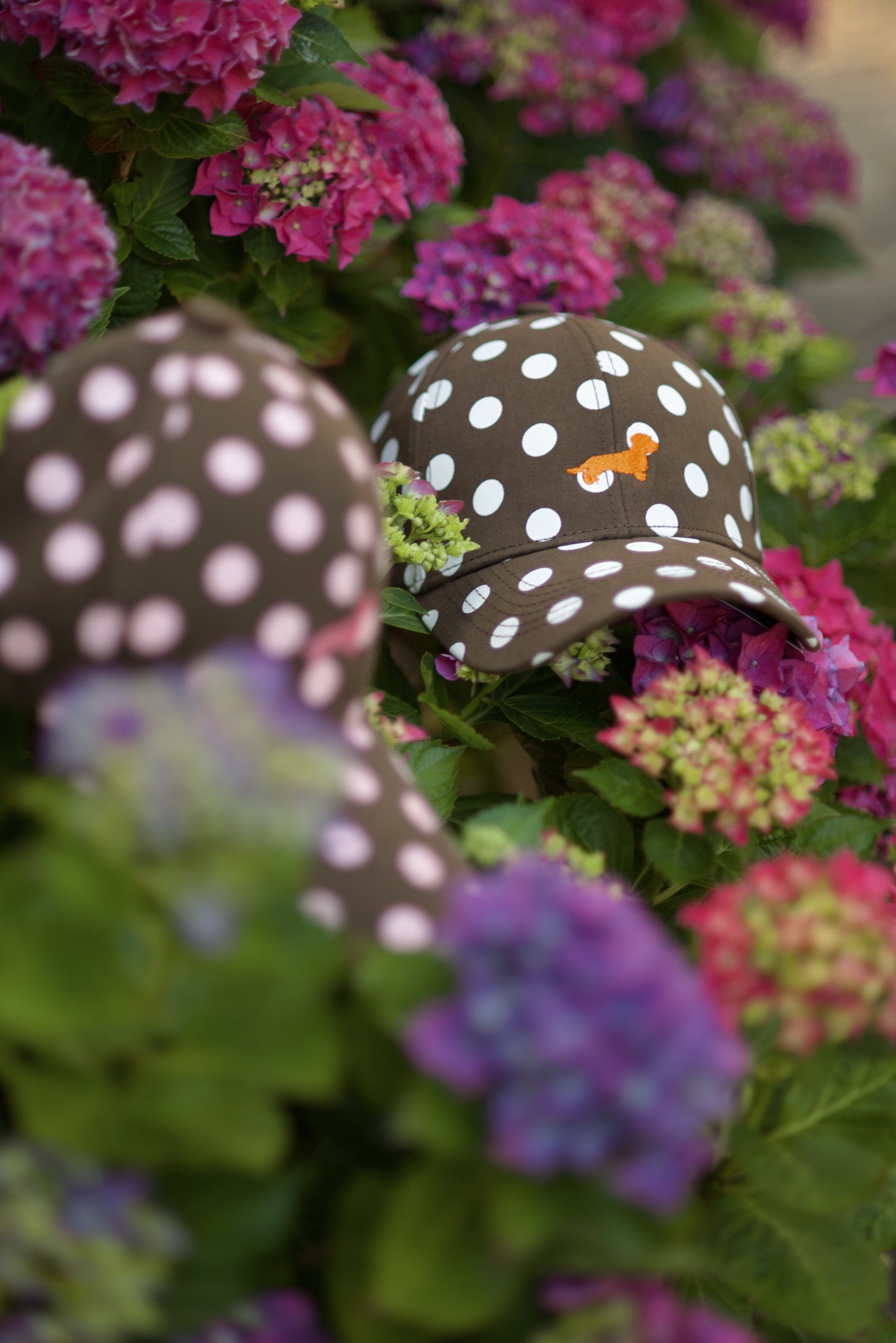 Dots Dackel Cap