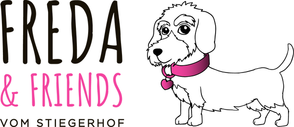 Freda & Friends Fashion